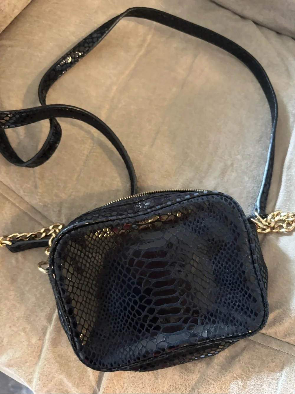 Michael Kors Black Snake-Embossed Crossbody with Gold Plate